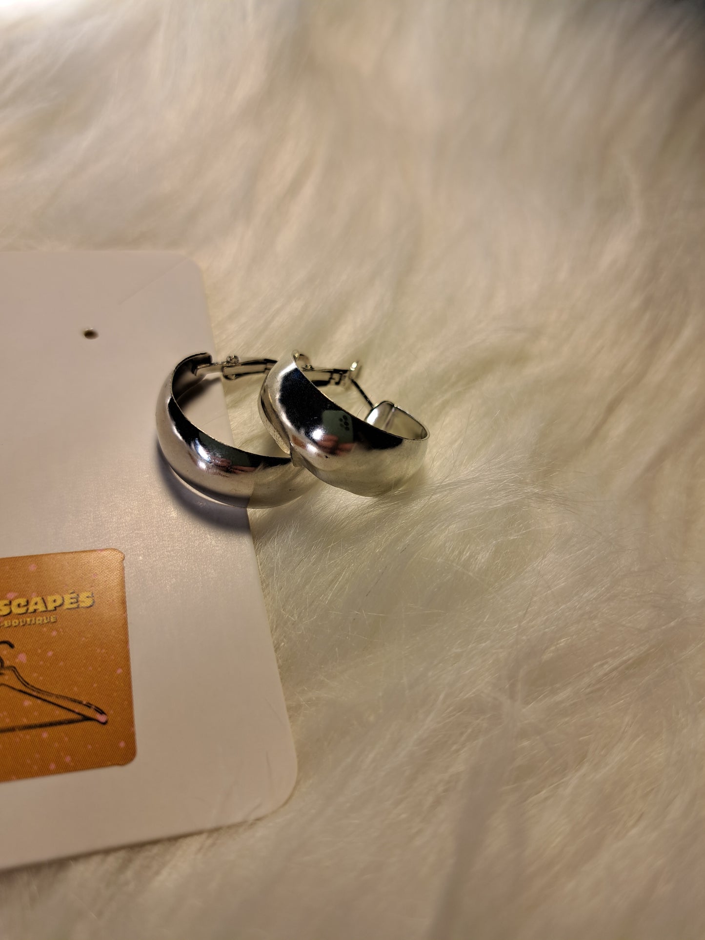 Boucles d'oreilles rondes couleur argent