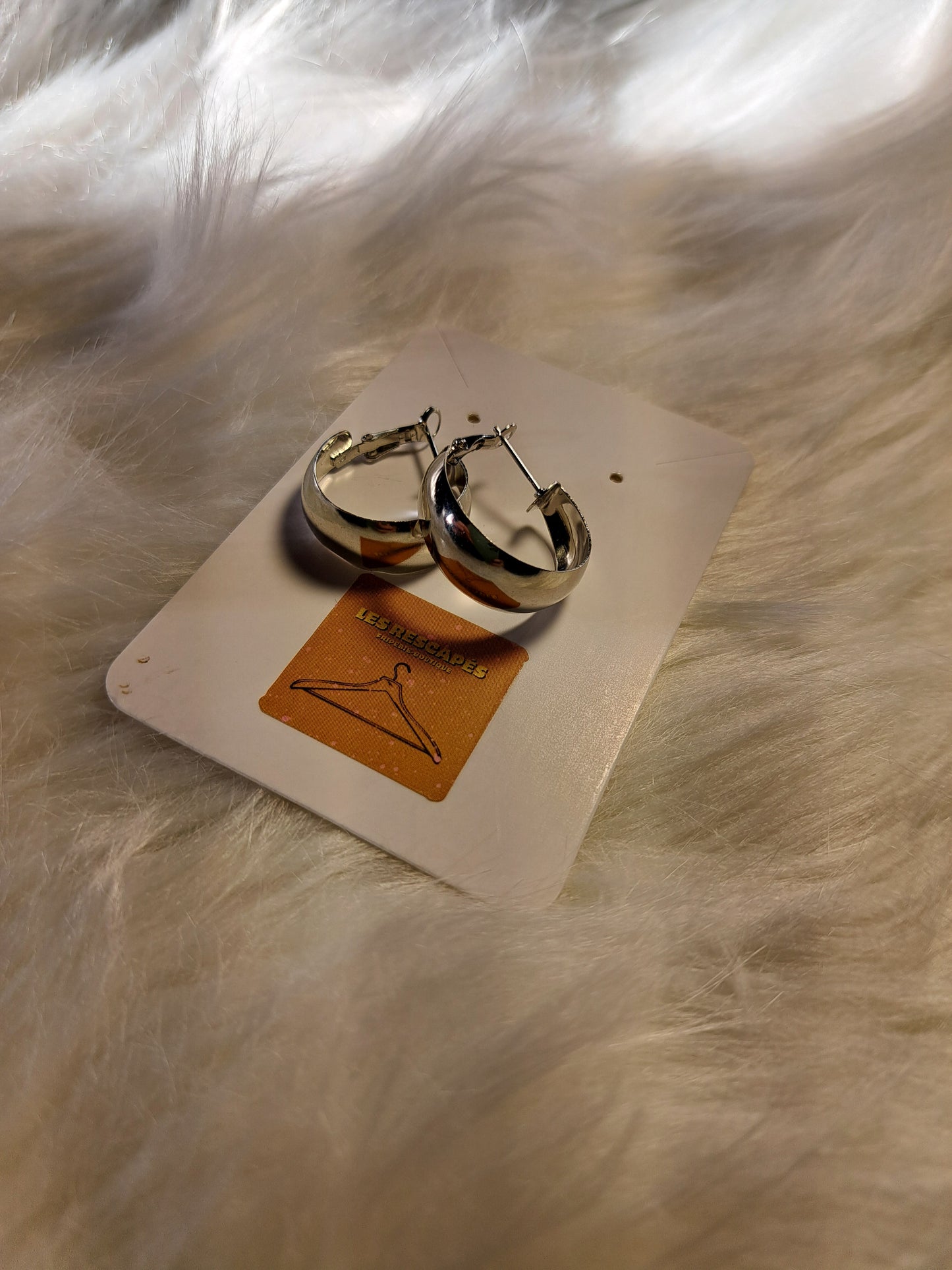 Boucles d'oreilles rondes couleur argent